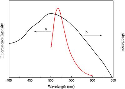 Development of Structure-Switching Aptamers for Kanamycin Detection Based on Fluorescence Resonance Energy Transfer